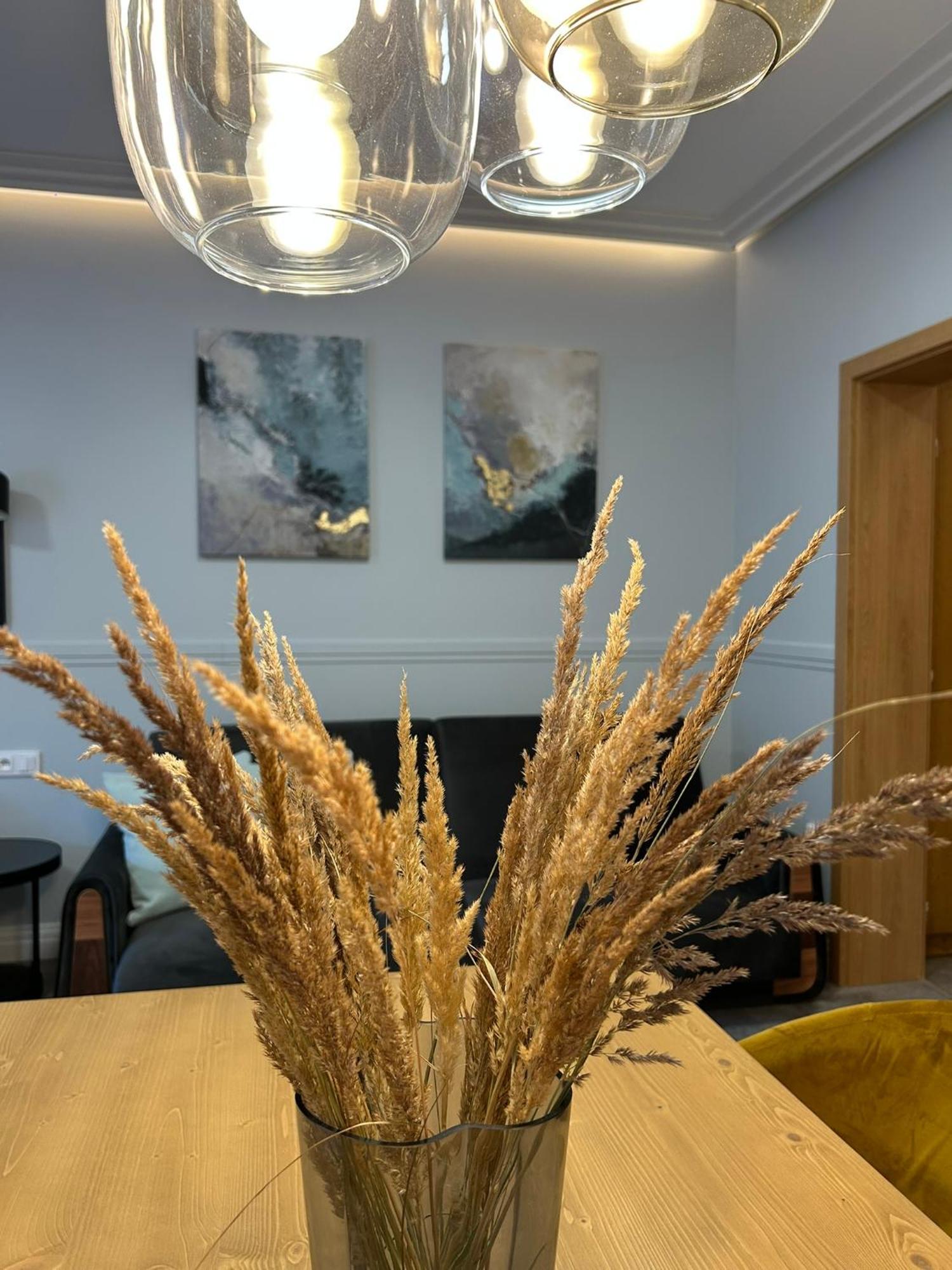 Apartment Luxusni Domovjanka - Lysa Hora, Smrk, Kminek Bila (Moravia-Silesia)